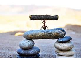 欢迎使用Z-BlogPHP！